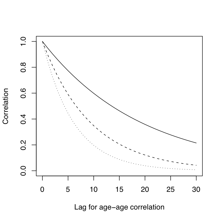 Autocorrelation model in one dimension.