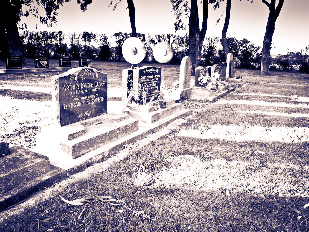 Windmills in Avonhead cemetery, Christchurch.