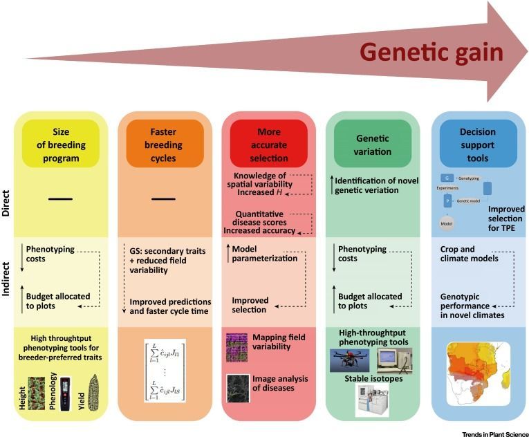 Screenshot of generic breeding programme components