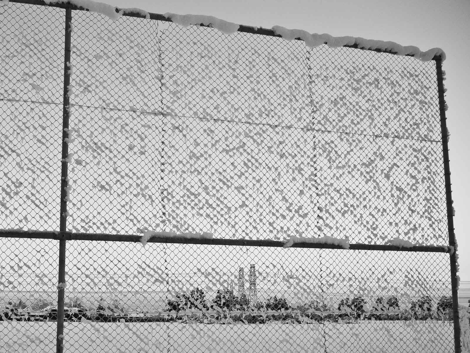 Gratuitous picture: frozen fence, Christchurch.