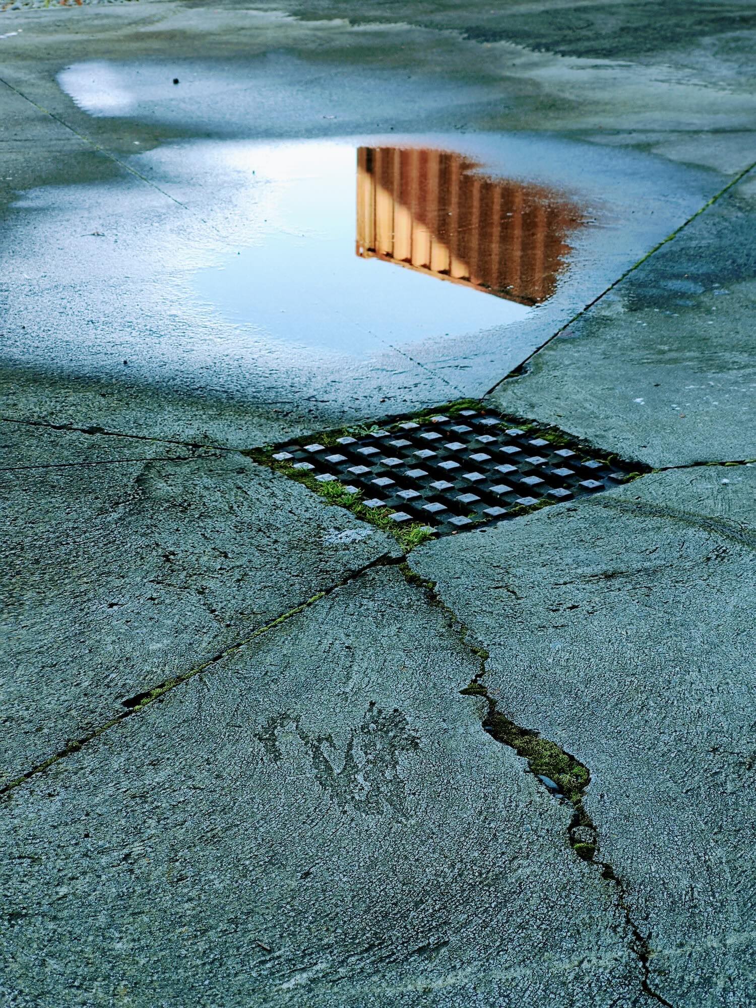 Container corner reflected on a puddle. Christchurch.