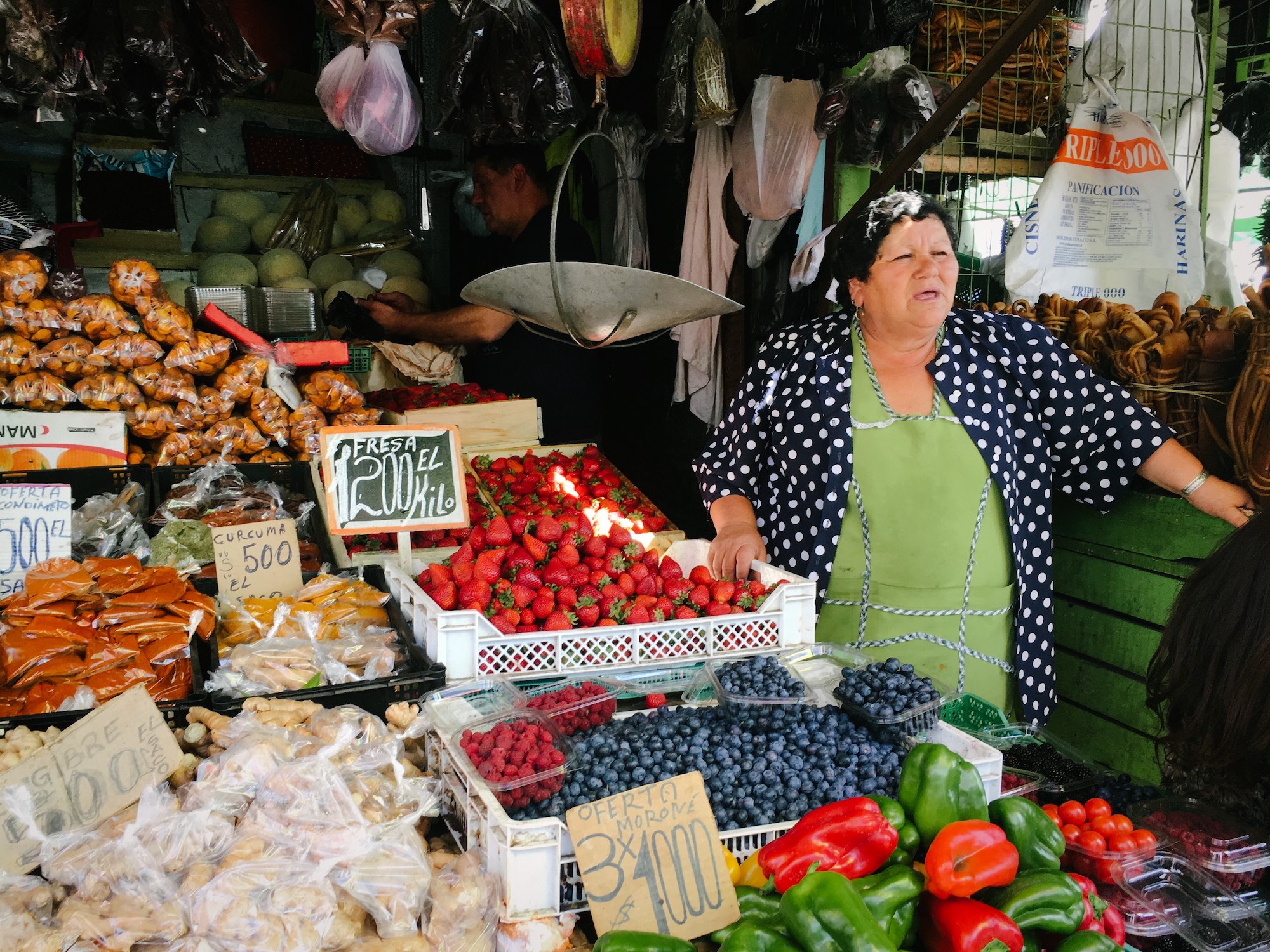 Sunday market shop owner, Concepción.