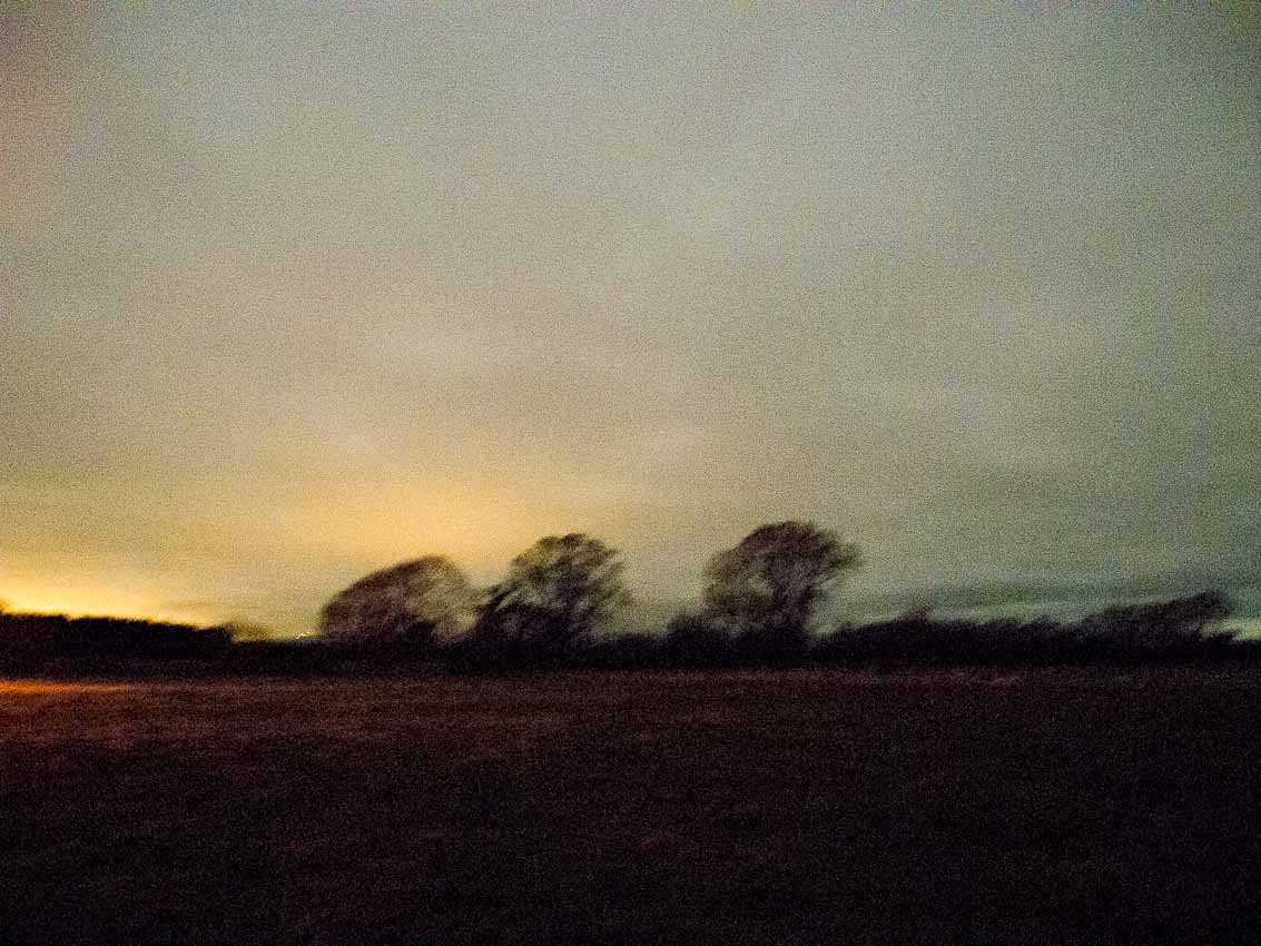 Gratuitous picture: Trees at 8 pm illuminated by bonfire and full moon, Canterbury.