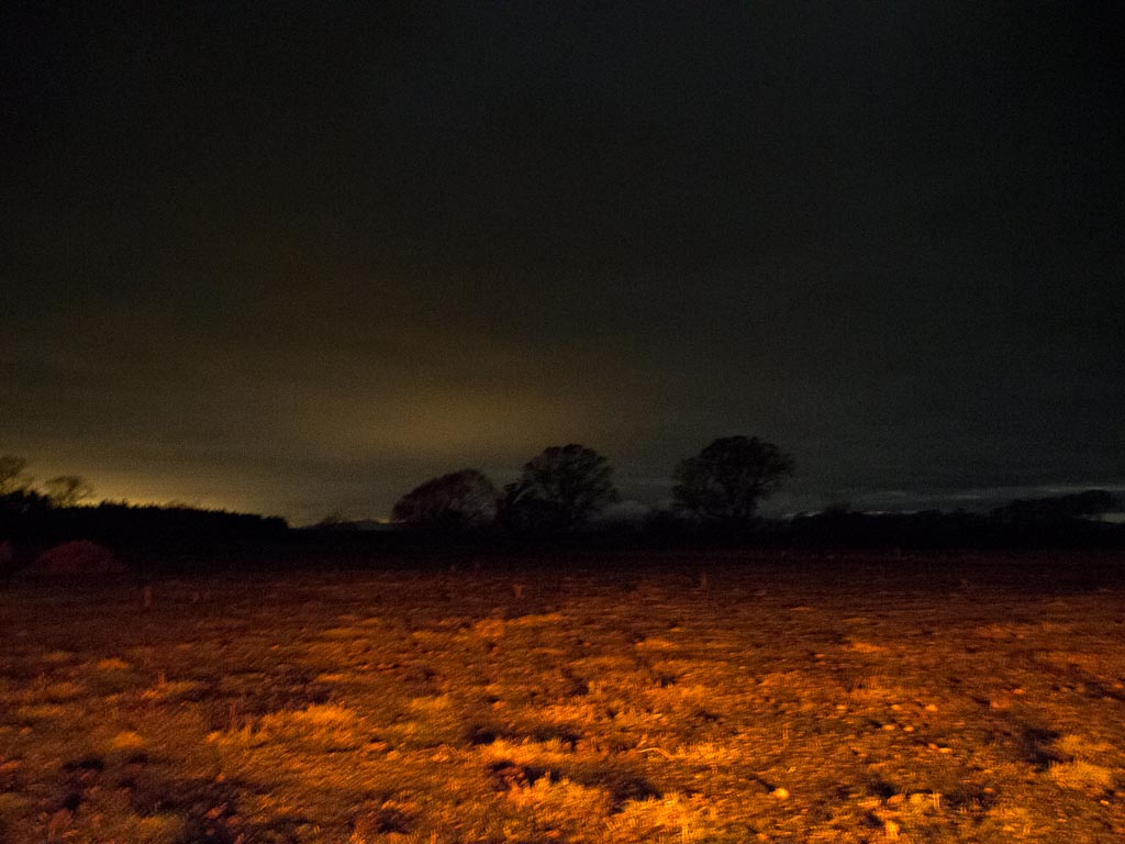 Gratuitous picture: Firescapes II, night illuminated by bonfire, Canterbury.