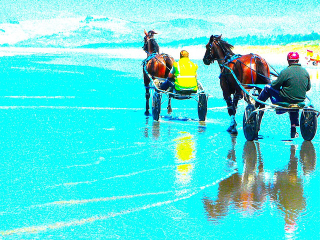 Racing horses training at the beach.