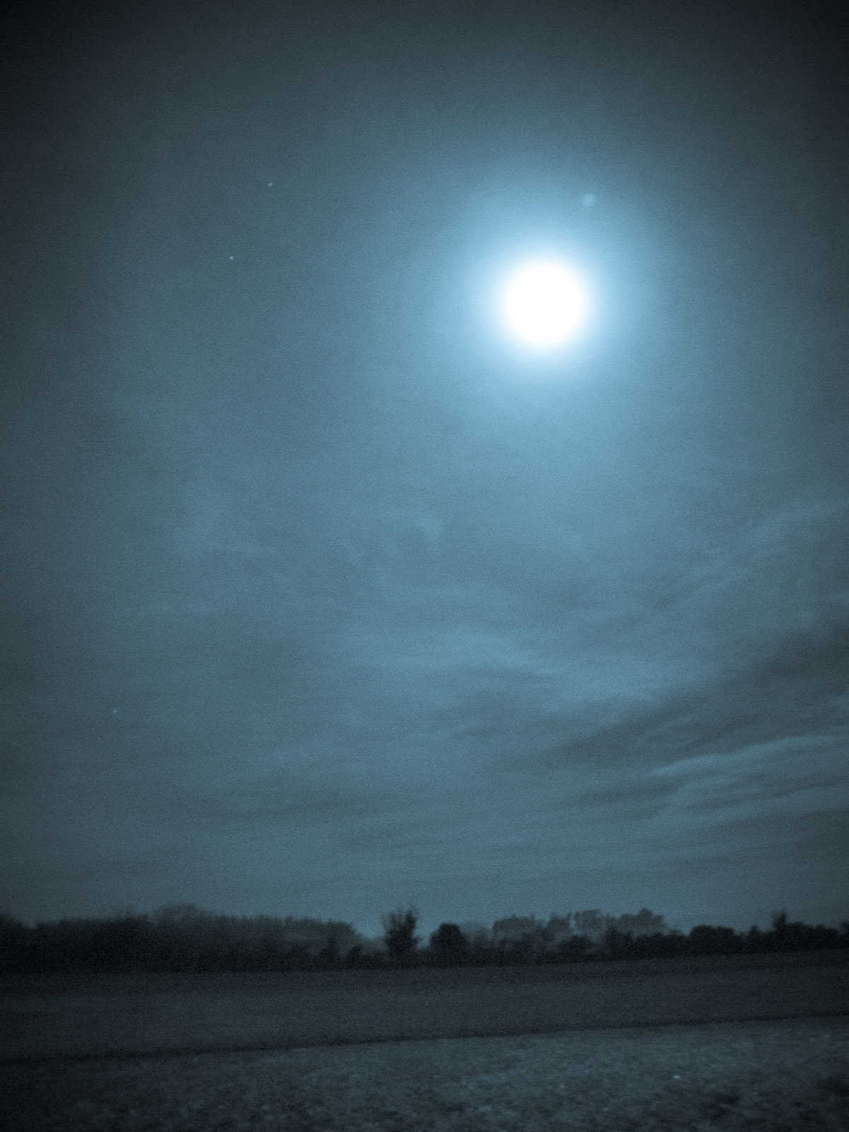 Moonlight-nocturnal in rural Canterbury.