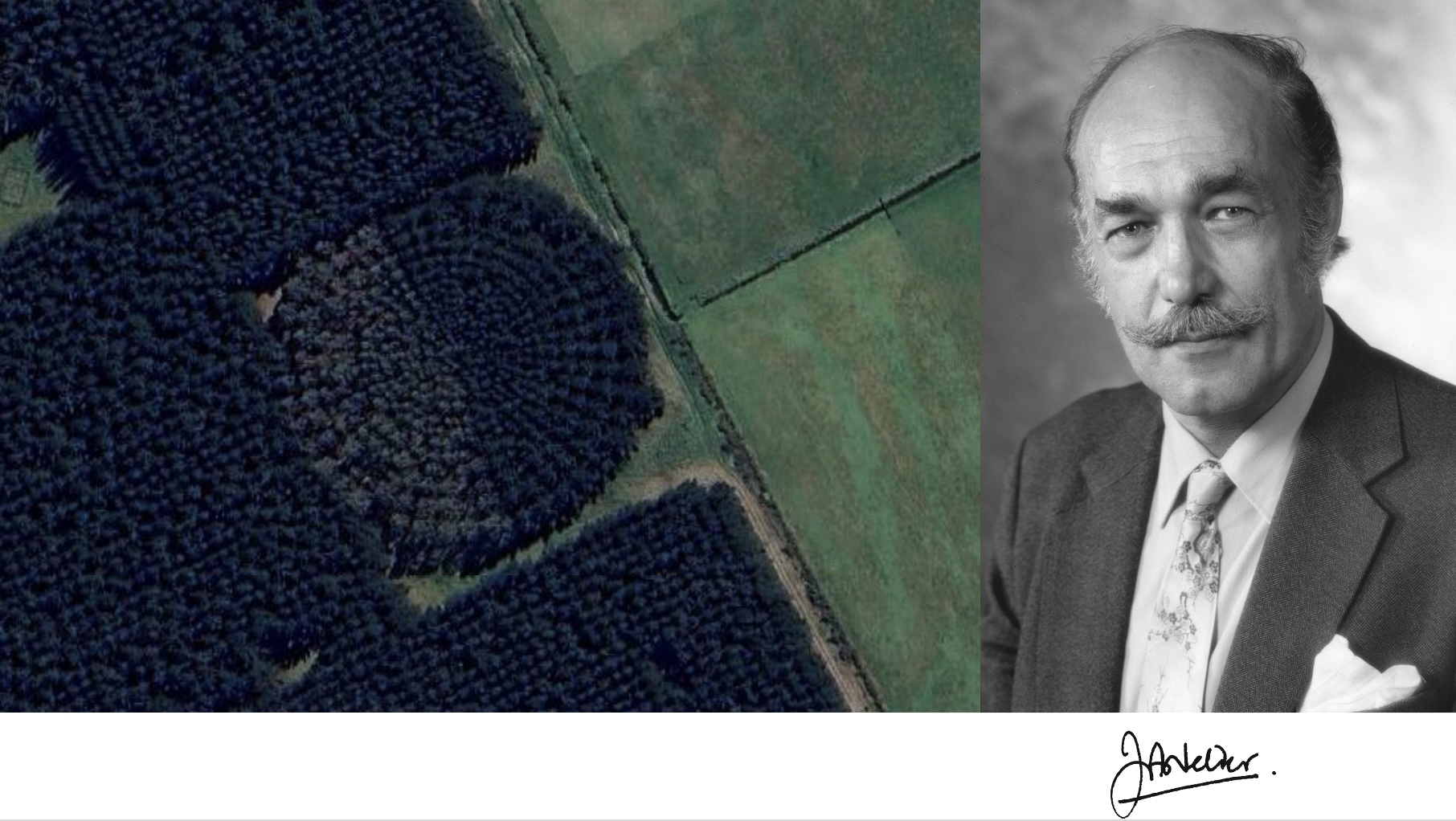 Photos: Left: view of a Nelder trial near Christchurch, embedded on a much larger trial. The dark side is Pinus radiata, while the light side is Eucalyptus globulus. Right: portrait of John Nelder, from the Royal Society website.