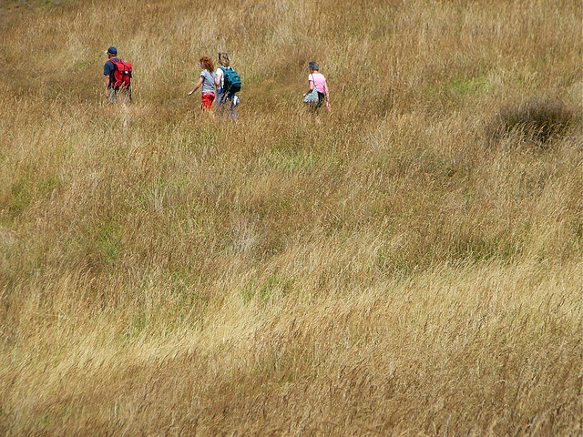 Gratuitous picture: walking in Quail Island