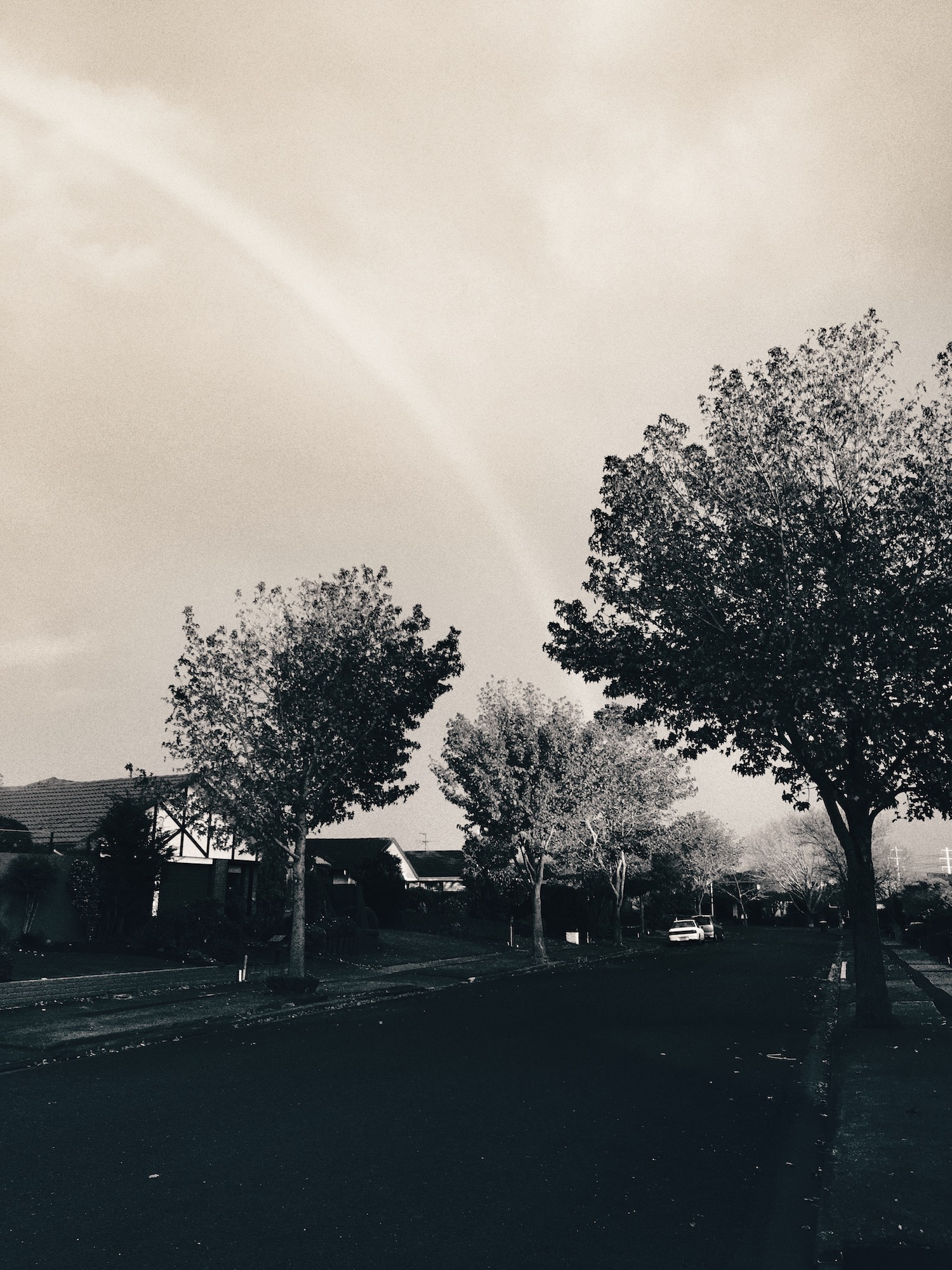 View from the berm, dominated by a suburban street lined up by oaks and liquidambar. There is a rainbow in the sky, Christchurch.