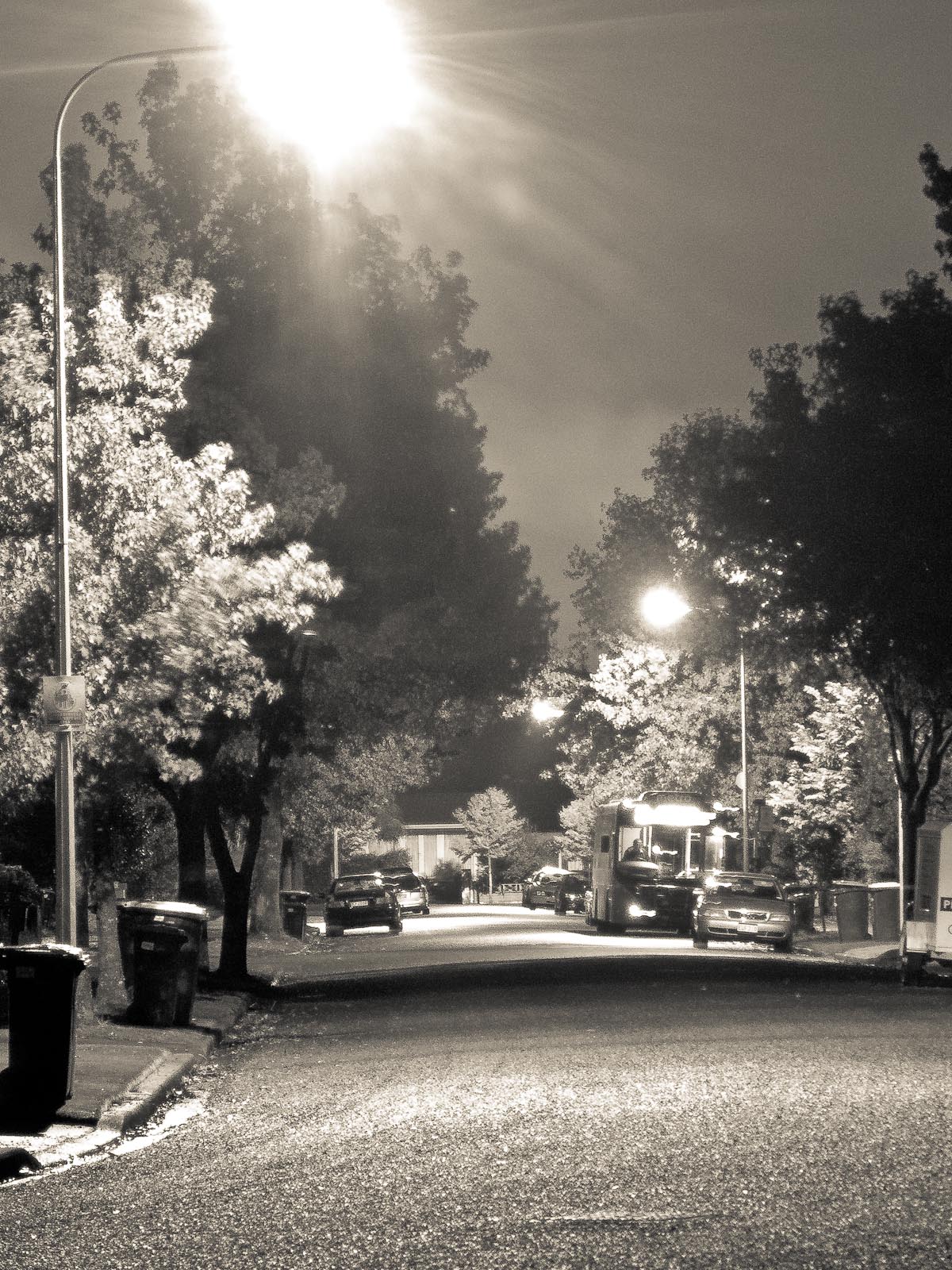 Suburbia bus stop, Christchurch.