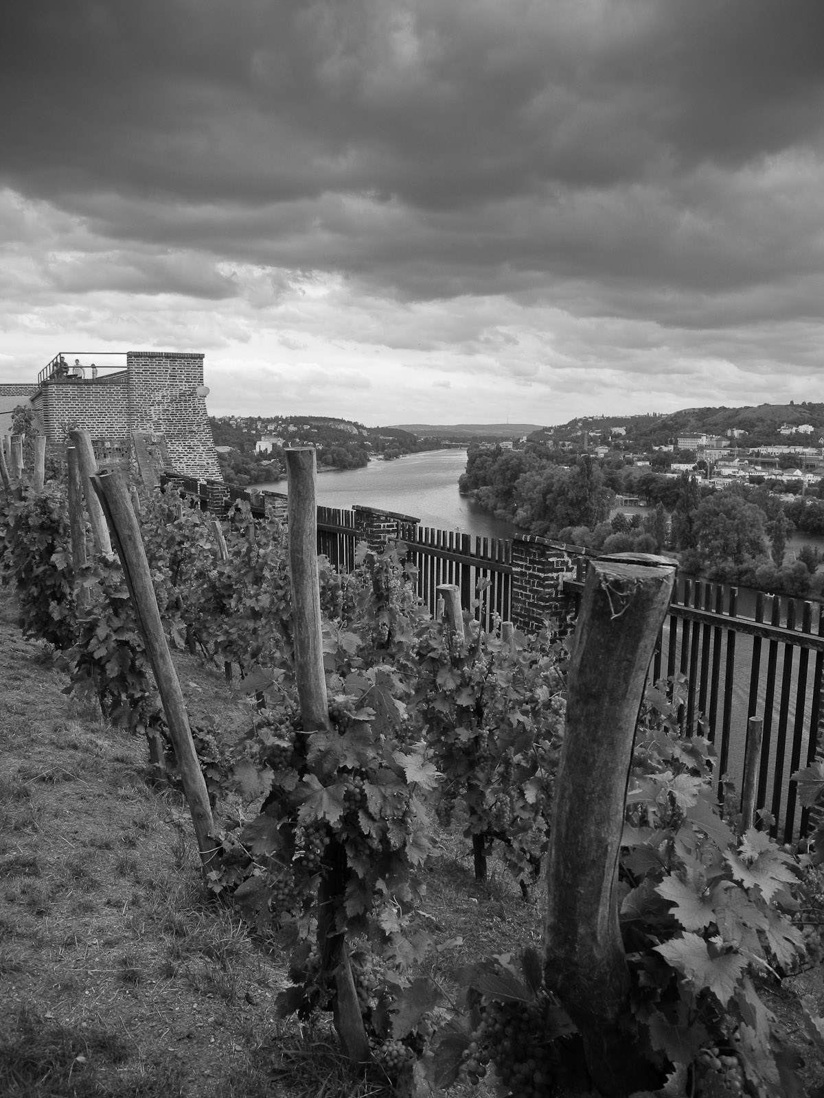 View South from Vyšehrad Castle, Prague.