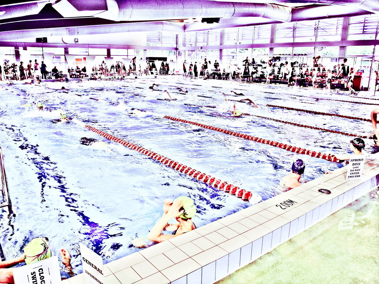 Swimmers warming up before competition.