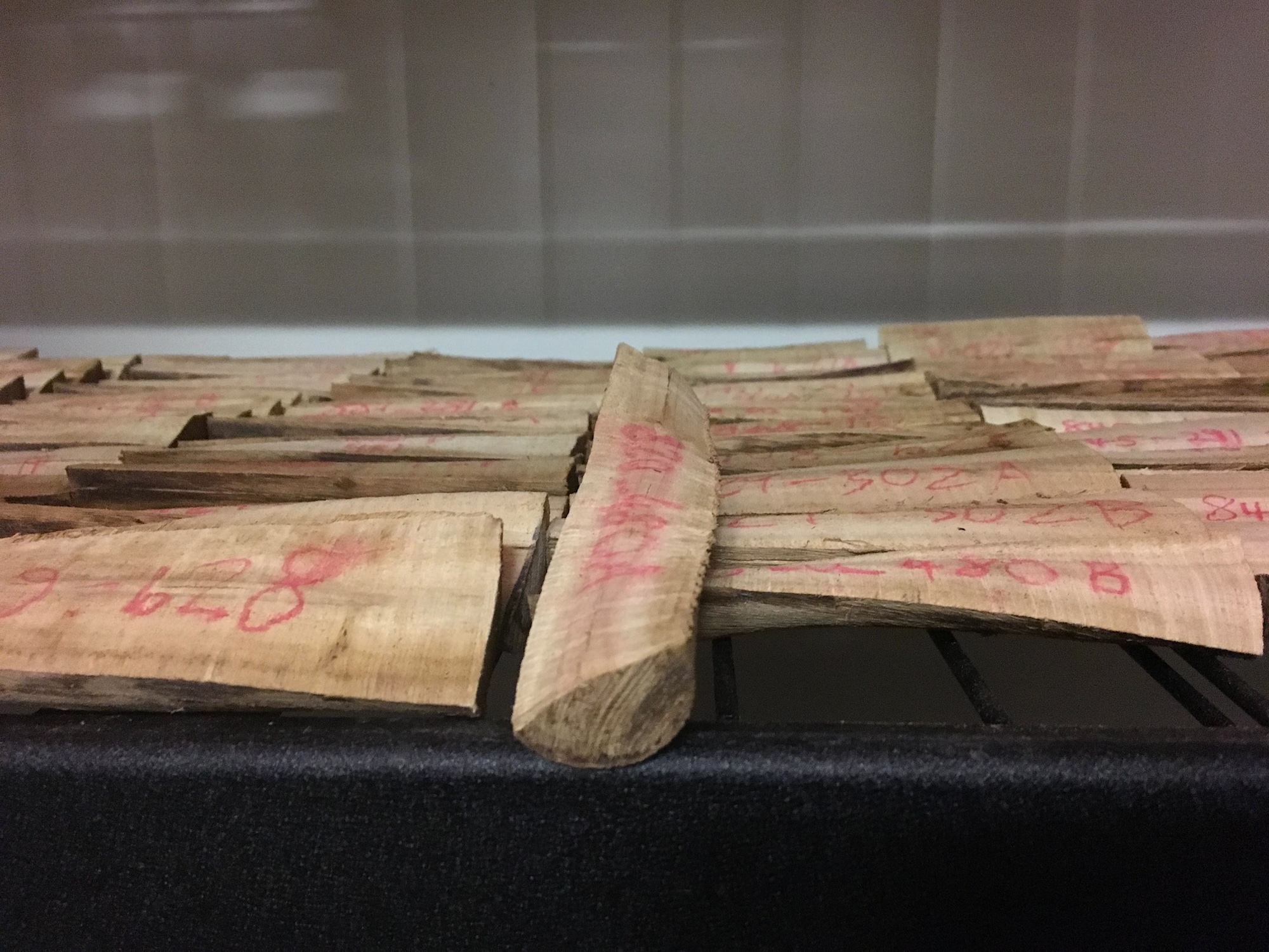 Radiata pine 2-year-old wood samples.