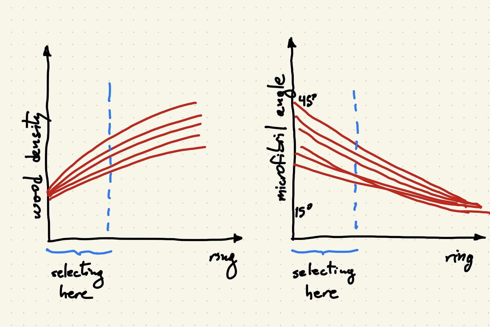 Microfibril angle and wood density trajectories with time.